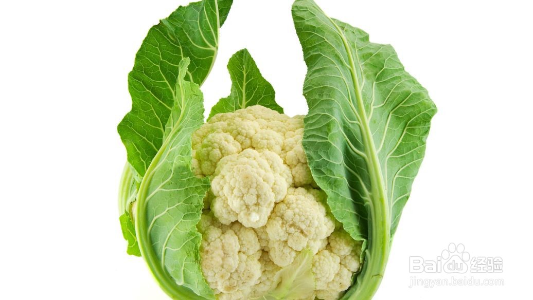 高血脂适合吃哪些蔬菜？