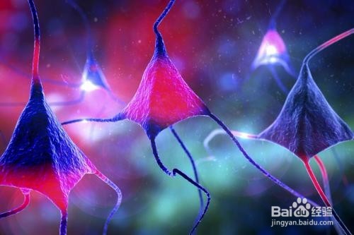 尖锐湿尤为何复发