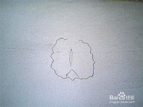 简笔画切开的菠萝这样画