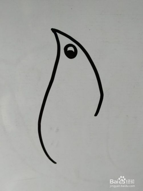 如何画海狮的儿童画？