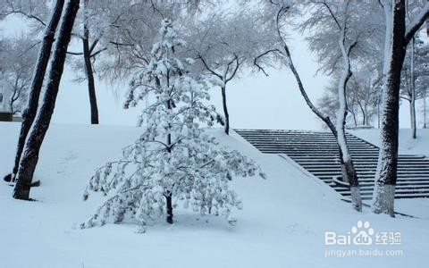 想要健康,须纯洁你的思想