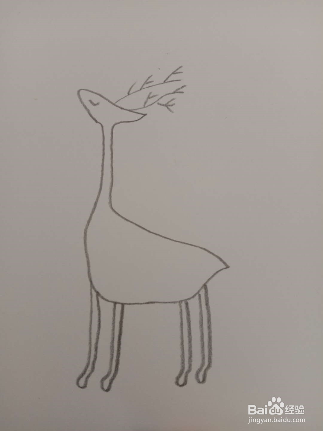简笔画 如何画小鹿