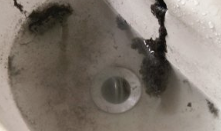 专为清洁厨房制定的小妙招