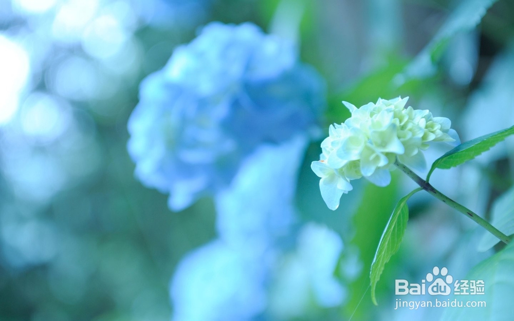 痤疮症状与防治