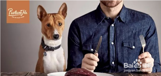 PNZ牧场之味分享如何挑选狗粮