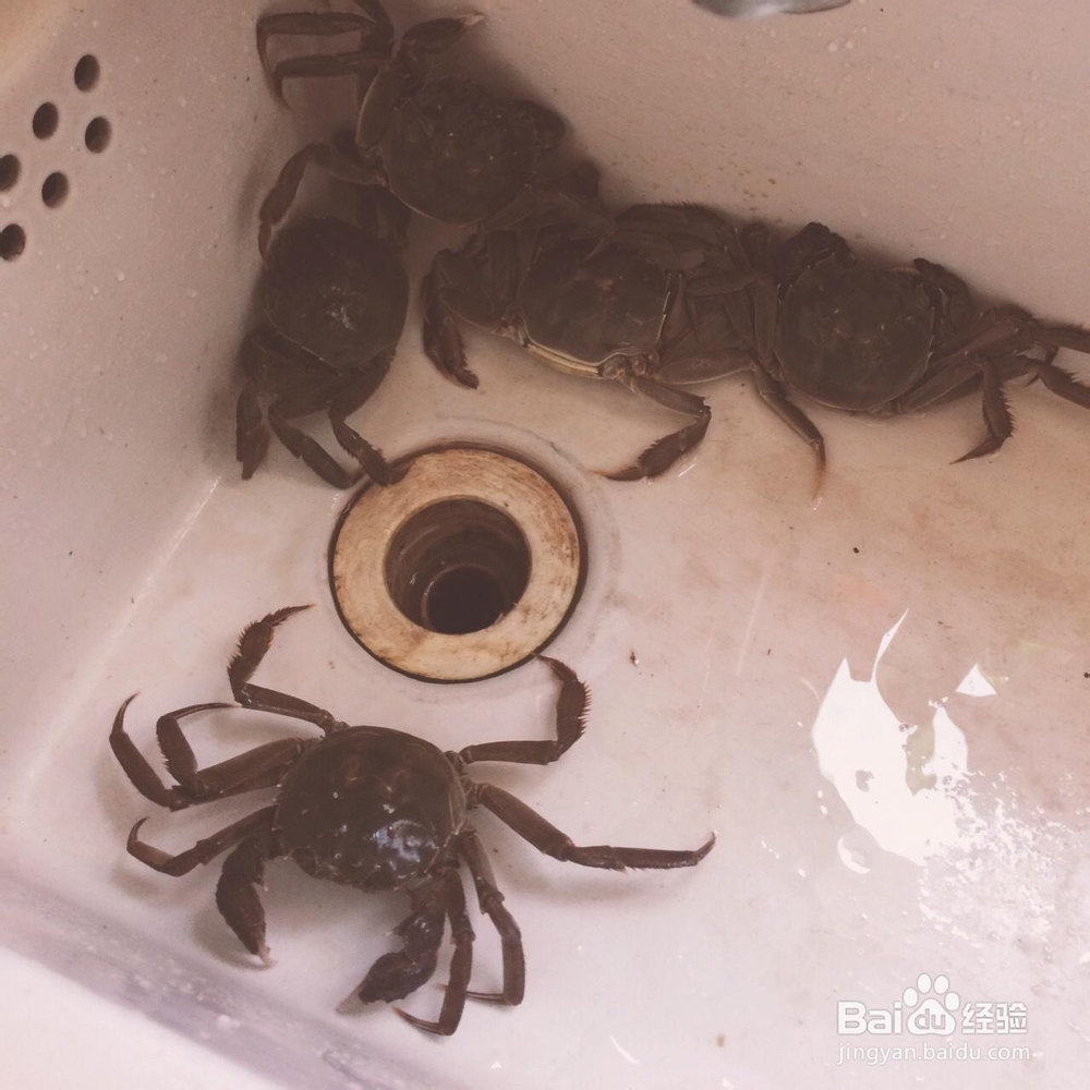 美味的香辣大闸蟹