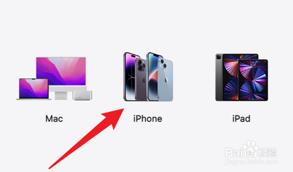 苹果14手机有几款