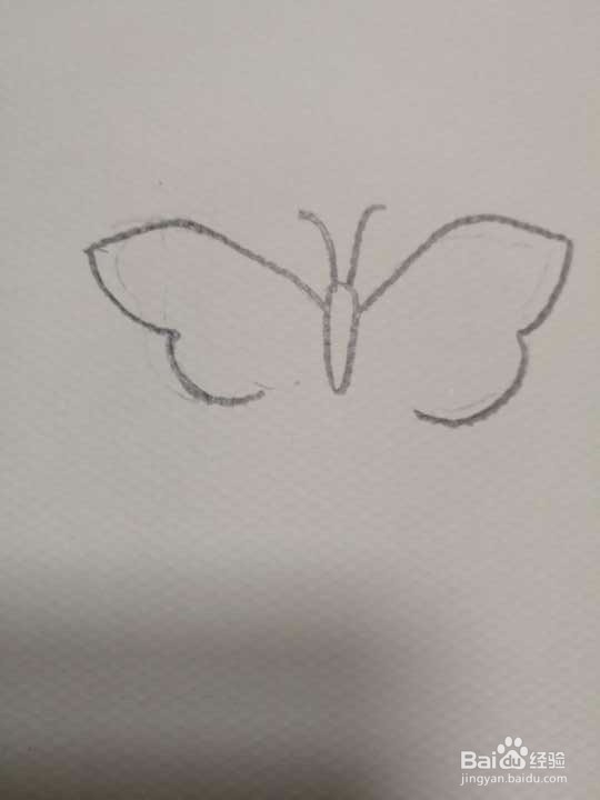 简笔画彩色的蝴蝶怎么画