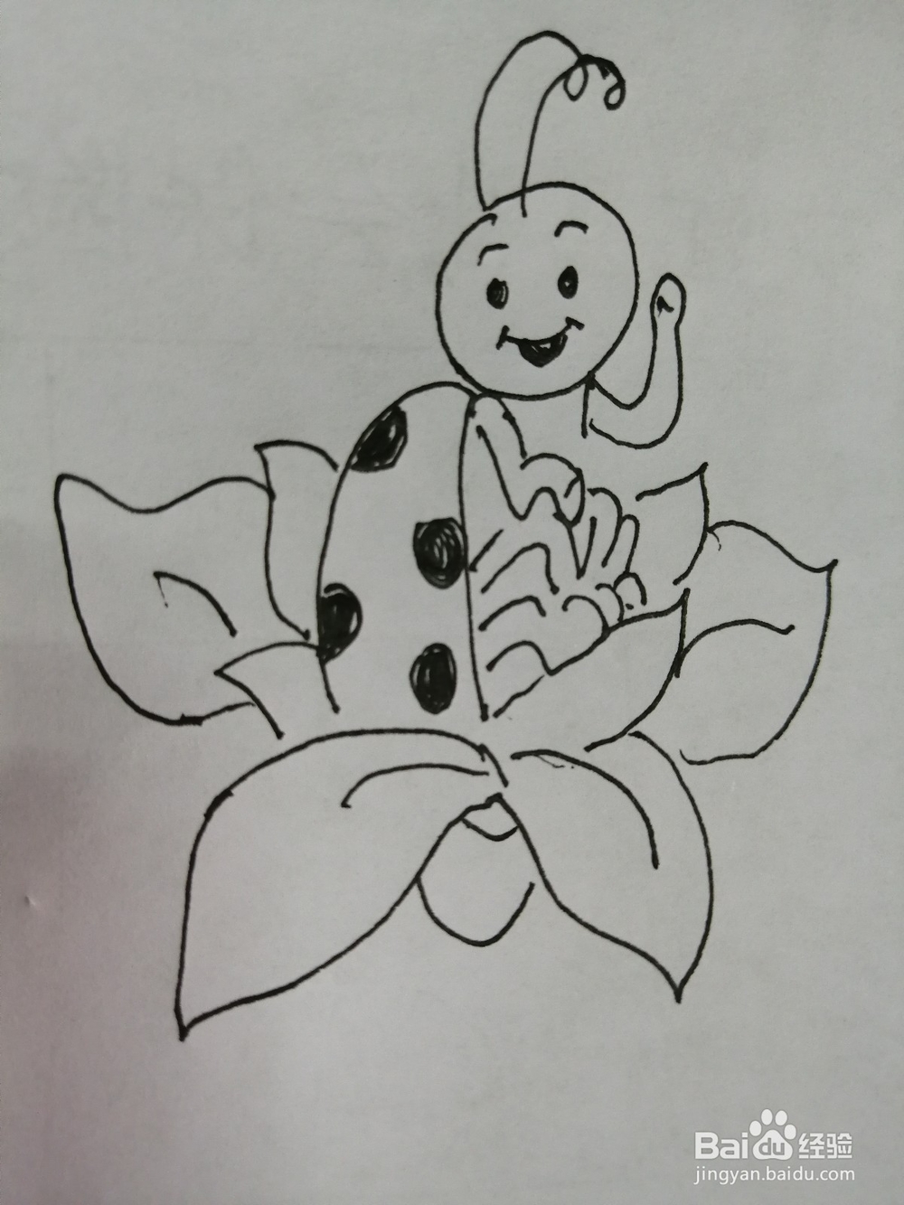 可爱的小瓢虫怎么画