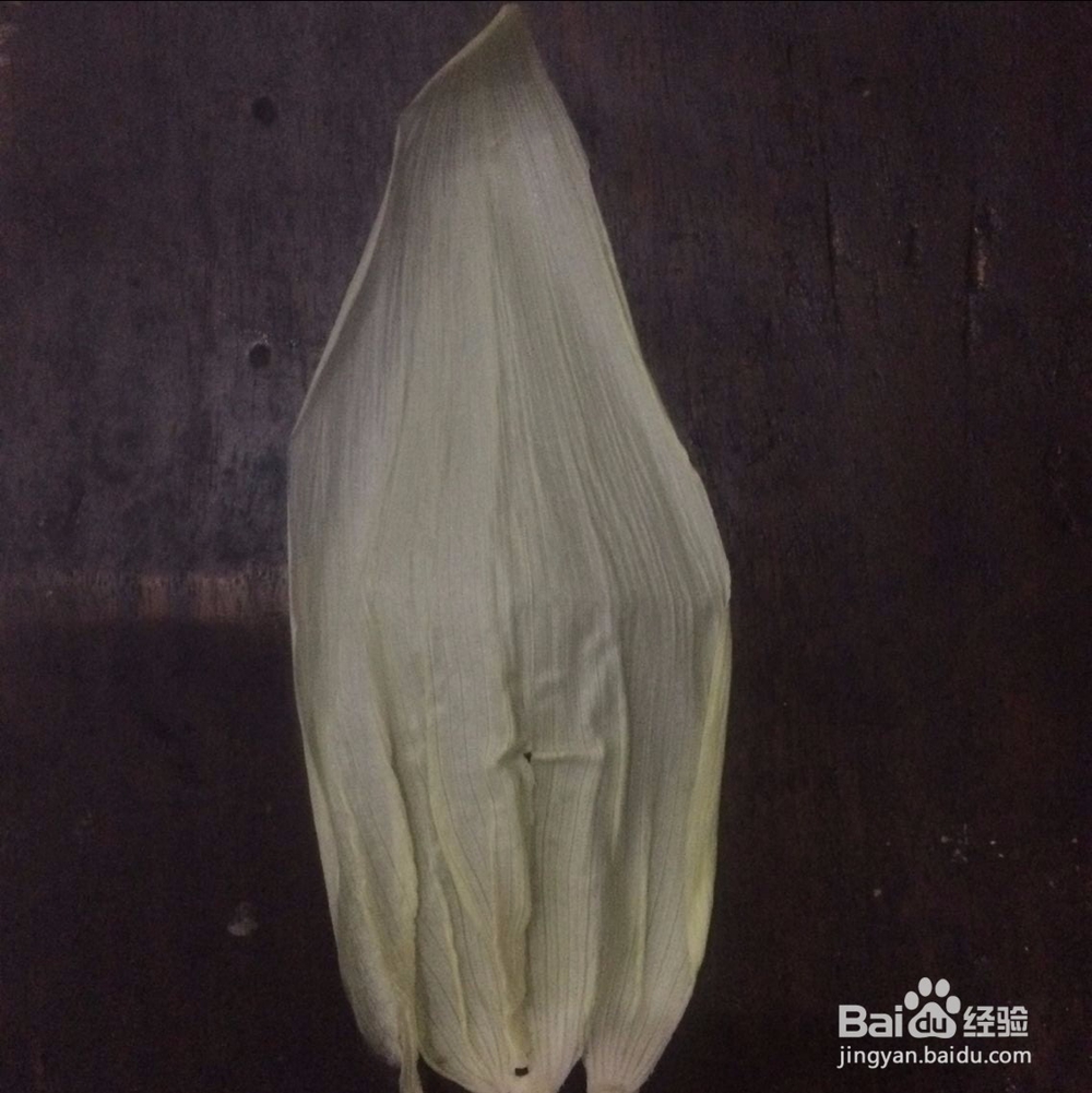 漂亮的玉米皮手工制作菊花教程