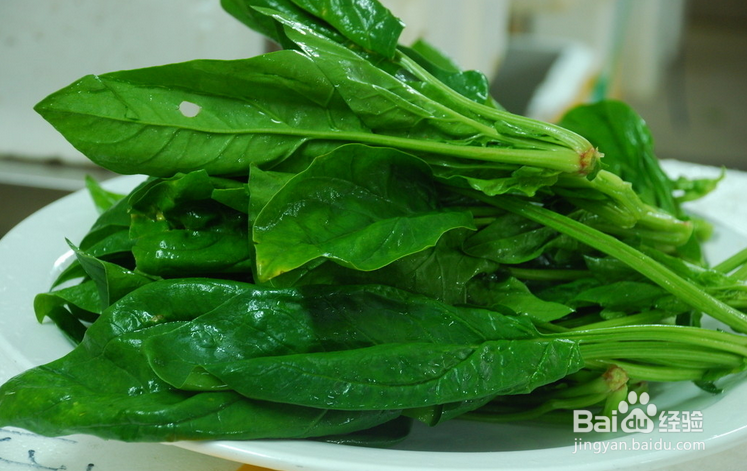 冬天暖胃暖身食物推荐