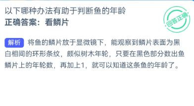 哪种办法有助于判断鱼的年龄神奇海洋12.20