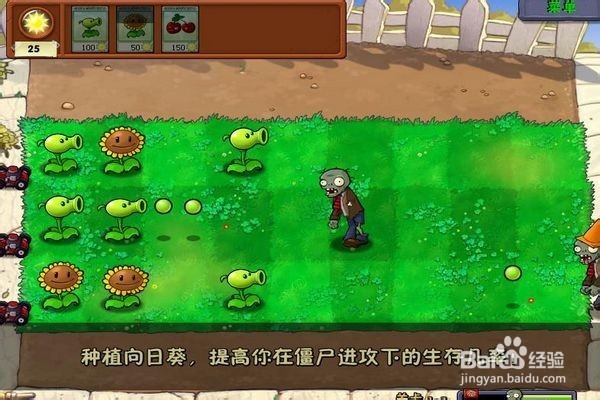 植物大战僵尸的攻略?(三)