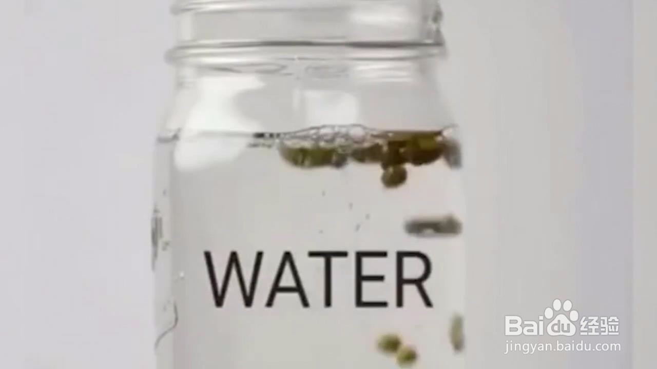 如何在家小范围种菜
