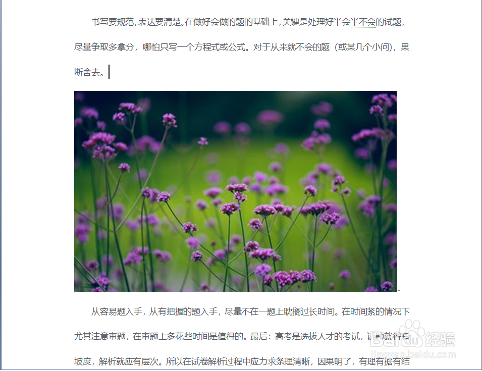 怎样正确的在文档中插入图片?