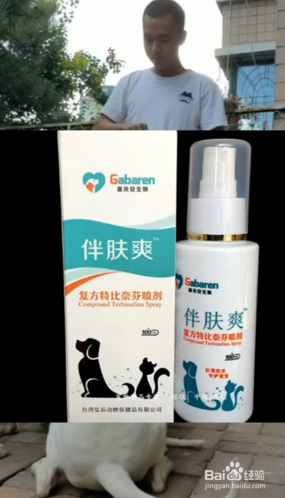 家中养狗需要必备哪些物品?