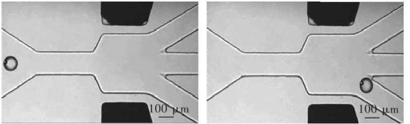功率放大器在微流控技术微颗粒分选中的应用