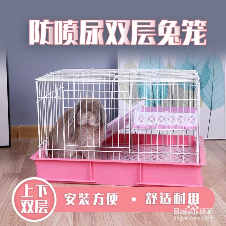 宠物兔笼子的选择