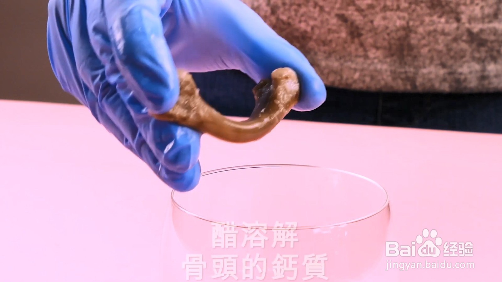 一个醋溶解骨质的实验,结果让你想象不到!