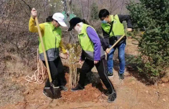 人工挖树技巧是什么