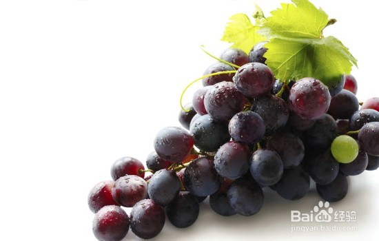 六种适合秋季润肺、清火吃的水果