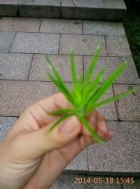 怎么打发闲余时间呢？