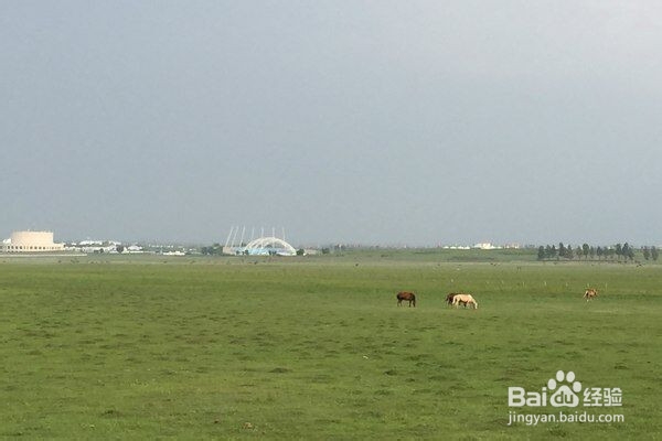 生活再继续，旅行也在继续——包头站