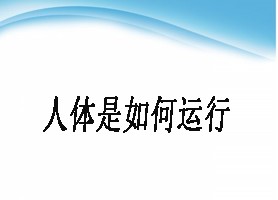 人体是如何运行