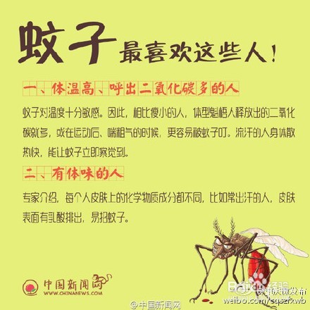 为什么，蚊子爱的总是你？