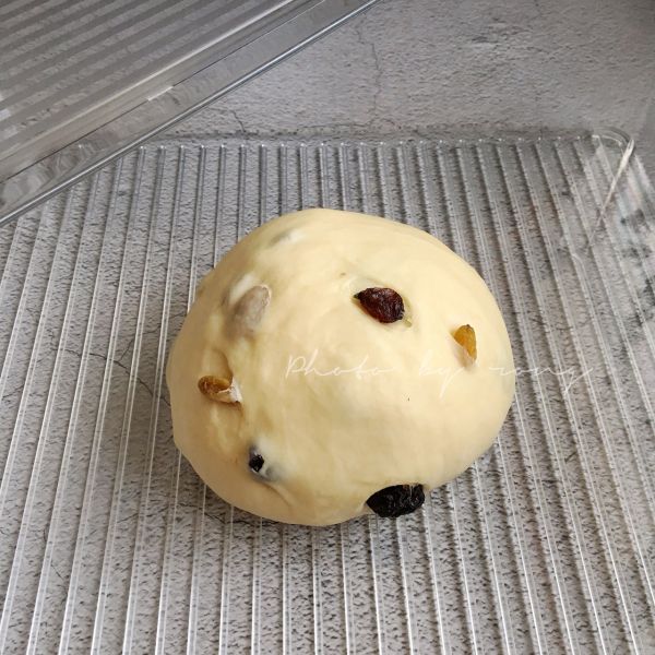 葡萄干浓香牛奶哈斯
