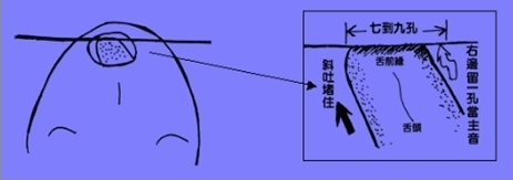 口琴舌头怎么放图解