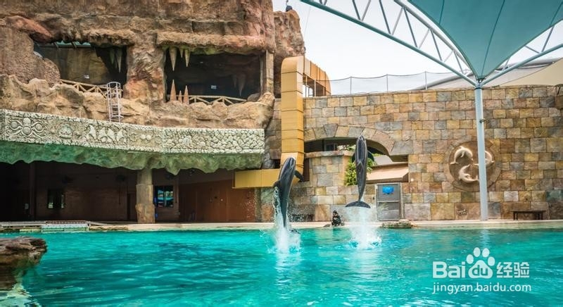 新加坡旅游简记20