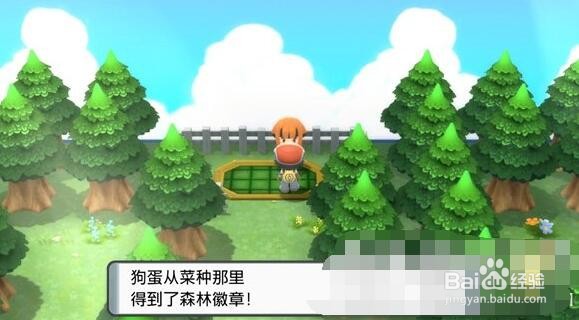 宝可梦晶灿钻石明亮珍珠居合劈获得方法