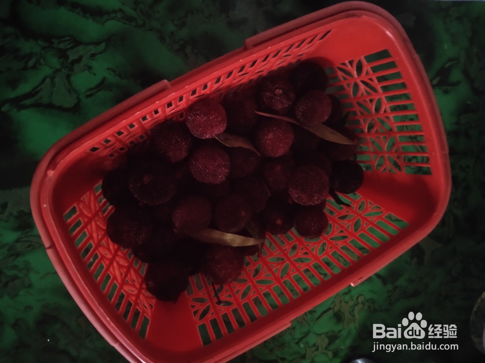杨梅怎么清洗才能去除里面的虫子
