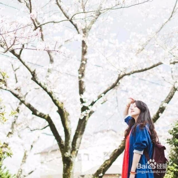 春天里的百变女神