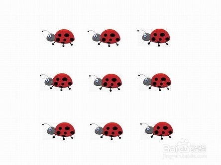 “瓢虫”和“结拜兄弟”
