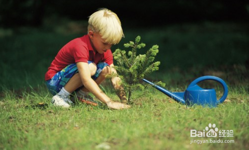 适合孩子在春天做的运动有哪些