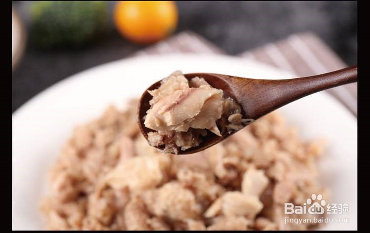 小猫太瘦了怎么才能养胖点