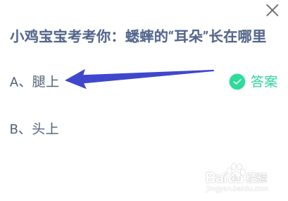 蚂蚁庄园小课堂8月31日正确答案是什么？