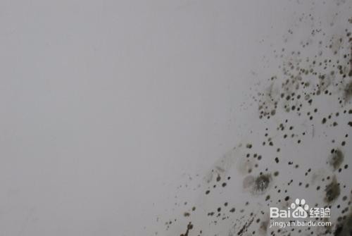 如何去乳胶漆墙面的污渍