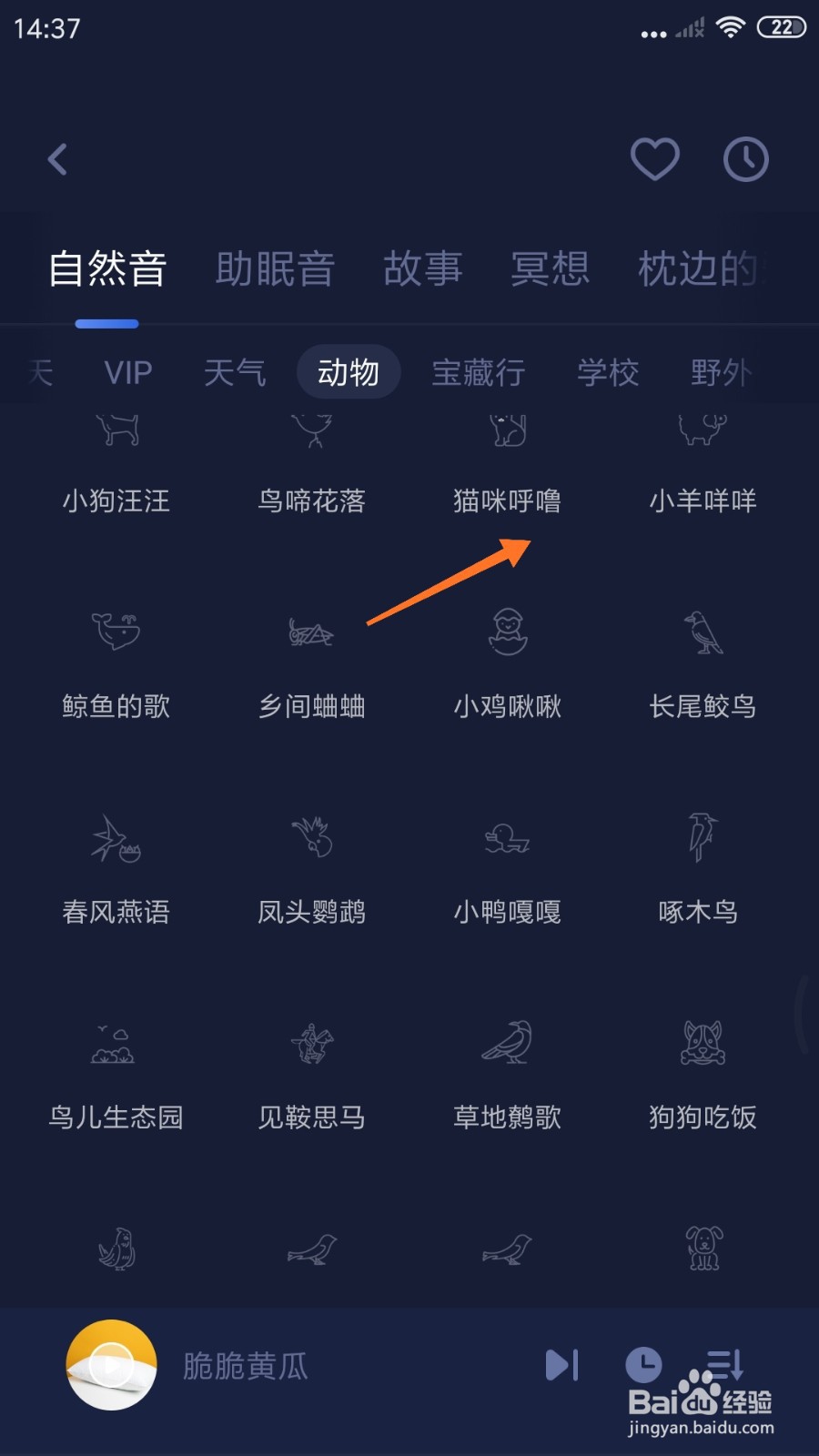蜗牛睡眠中怎么播放猫咪呼噜