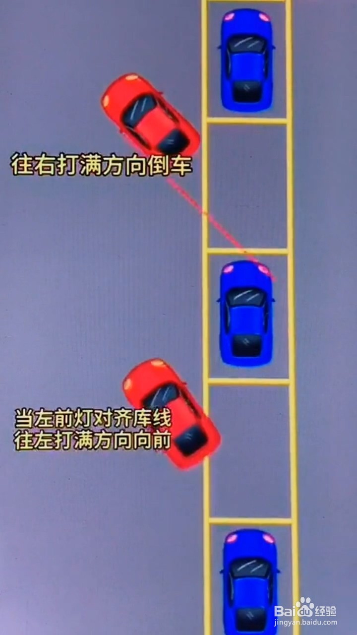 如何正确侧方停车