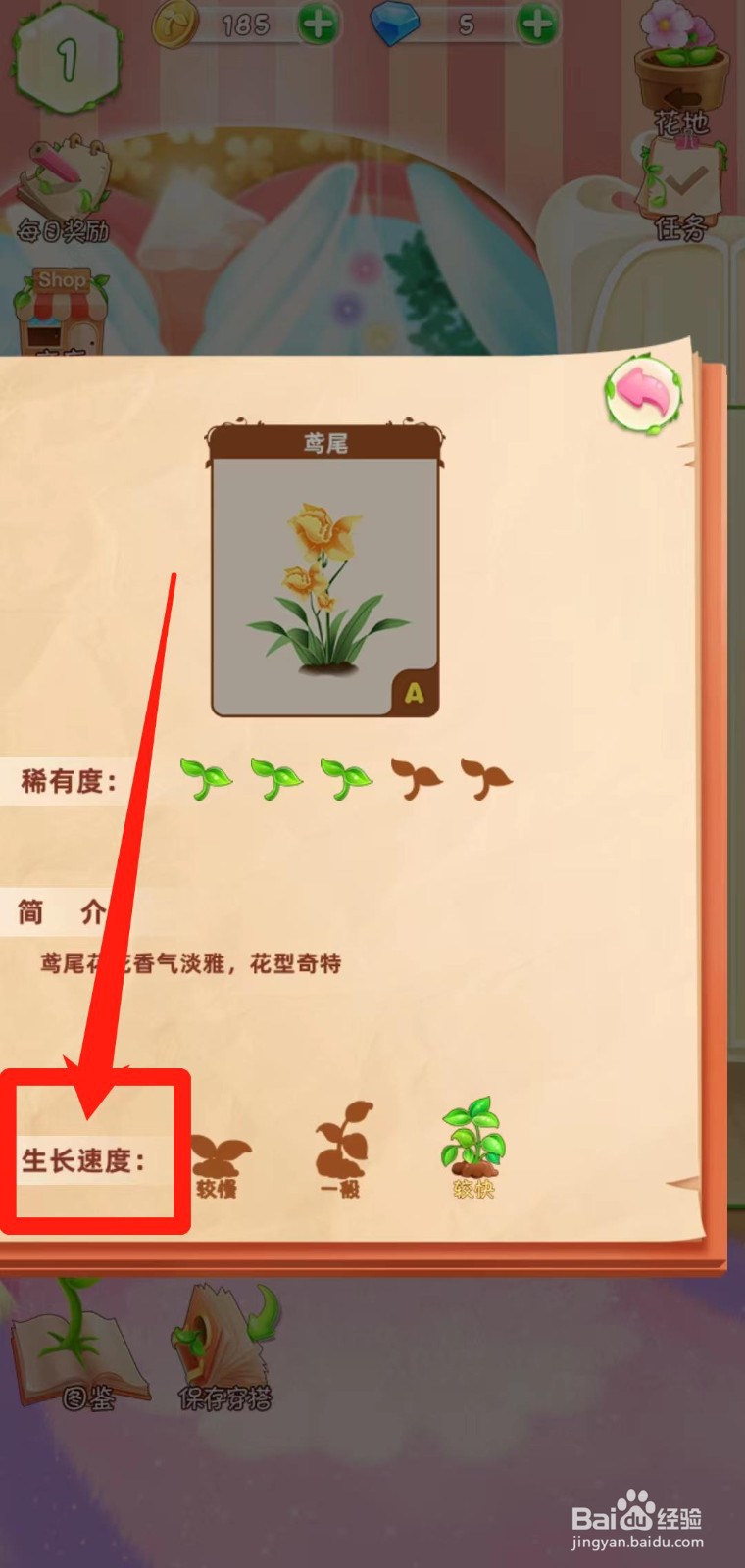 花花姑娘之魔法花园如何查看鸢尾生长速度