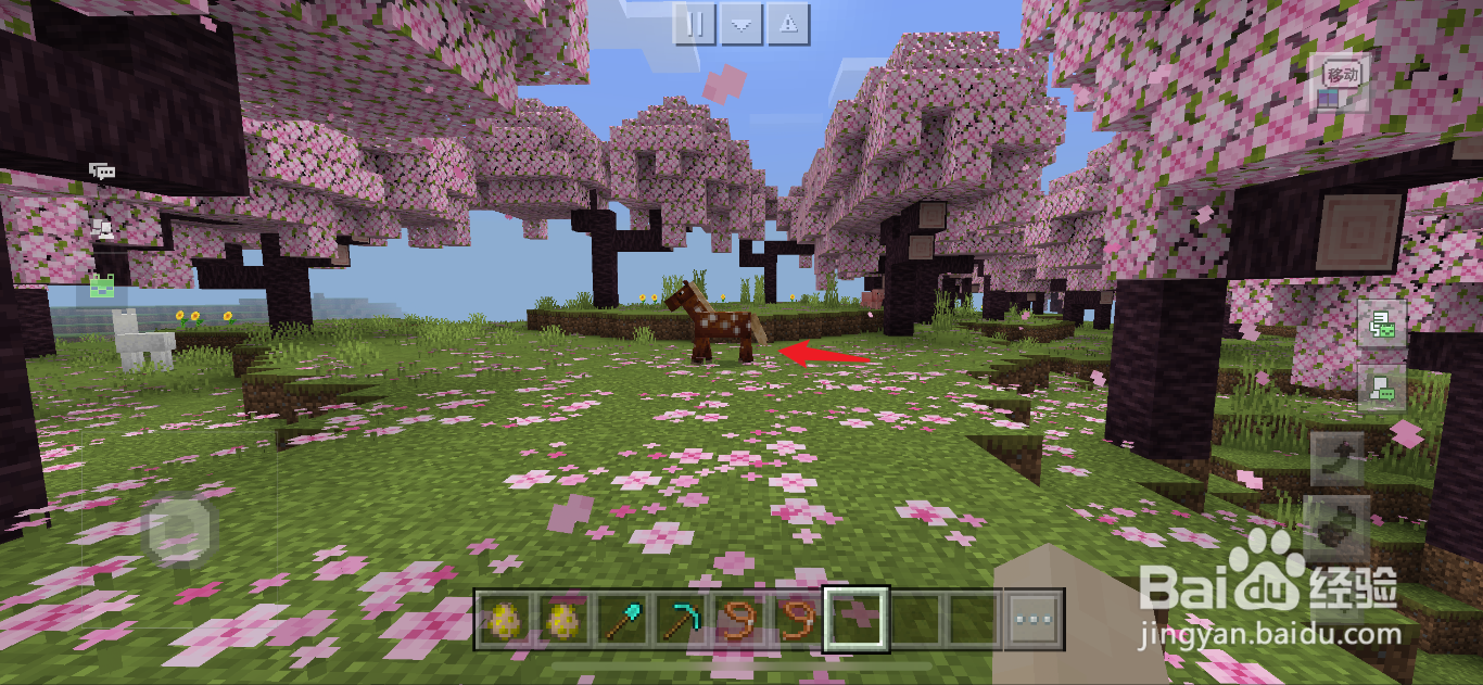 我的世界怎么用绳子拴住马