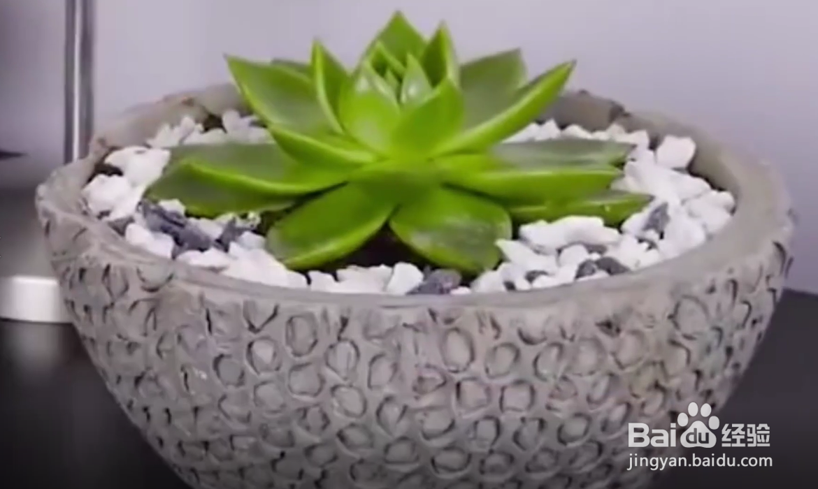 水泥有什么妙用呢?