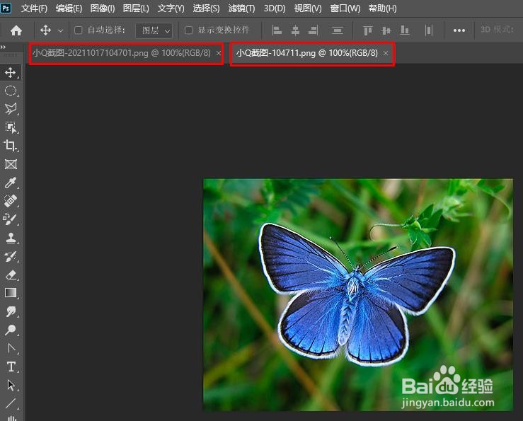 如何在 Photoshop 中打开图像与放置图像