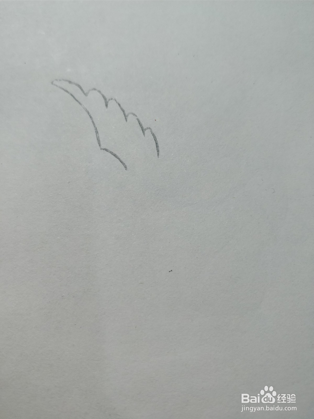 怎么简笔画画和平鸽