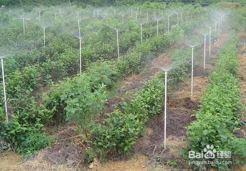 喷灌系统安装方法