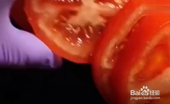 怎样在家种植芦荟、西红柿和黄瓜