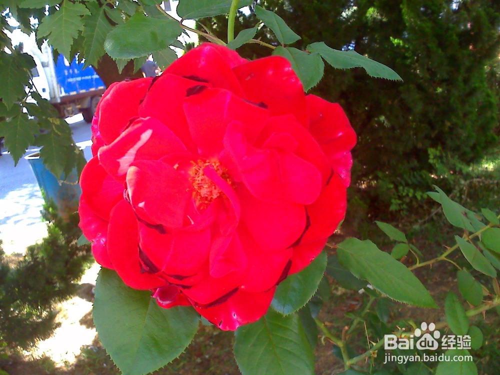 读书的好处---12